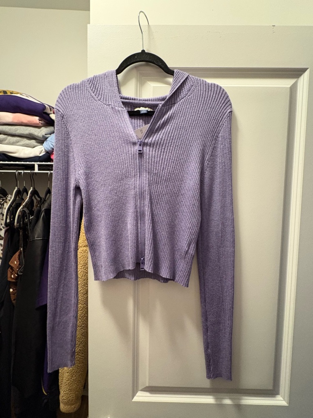 American Eagle Outfitters Lavender Ribbed Zip-Up Crop Top